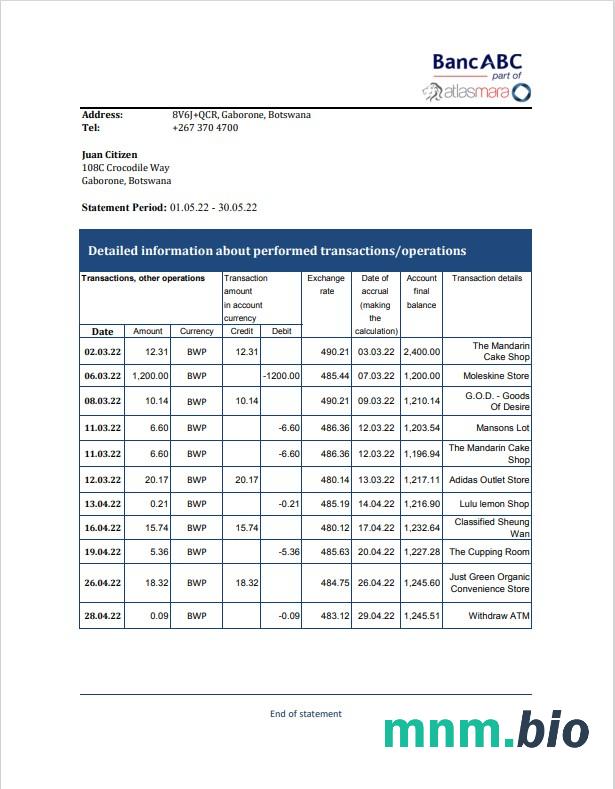 Szablon wyciągu z banku centralnego Bośni i Hercegowiny w programie Word i PDF